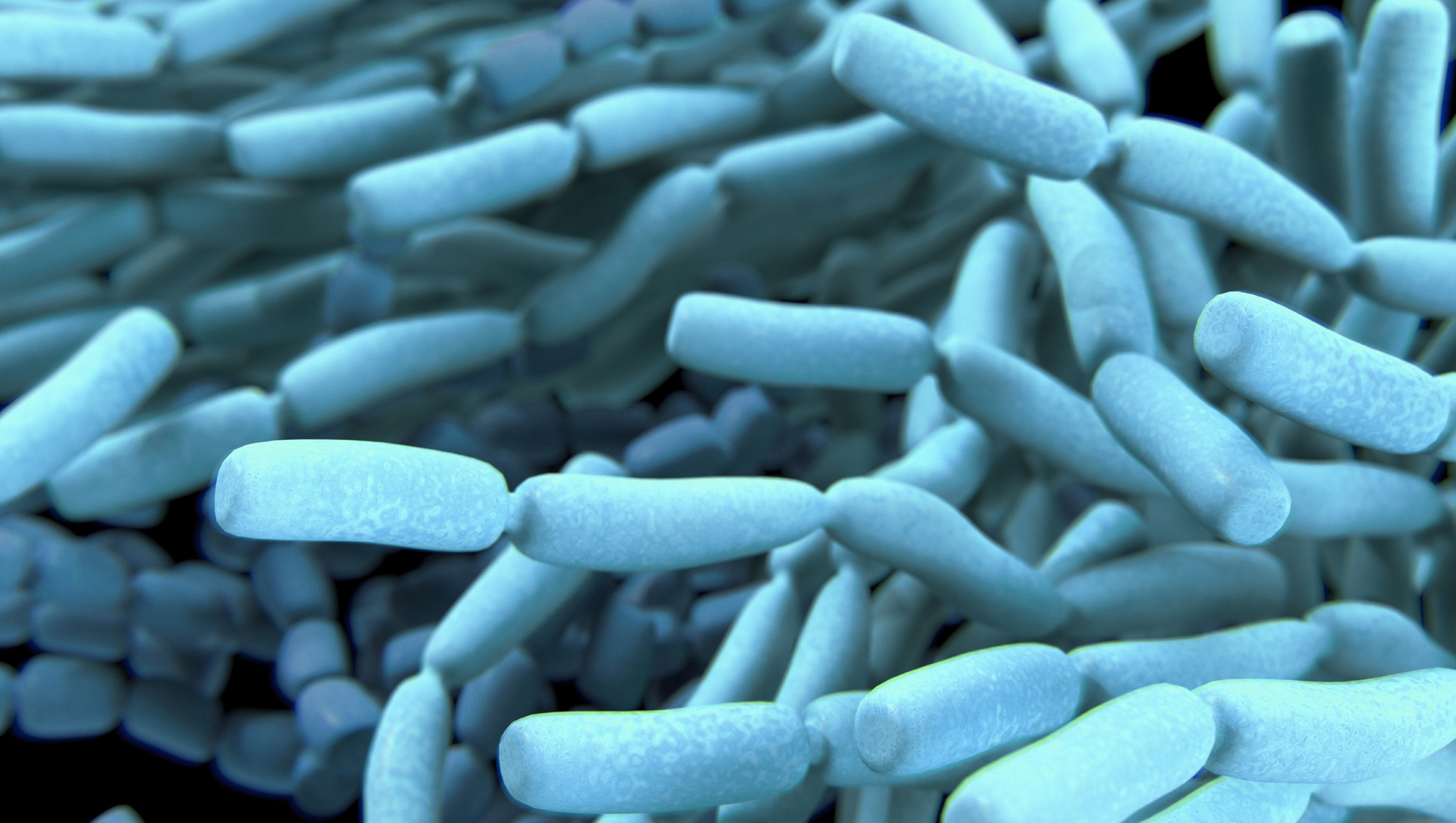 suoliston-hyviä-maitohappobakteereja