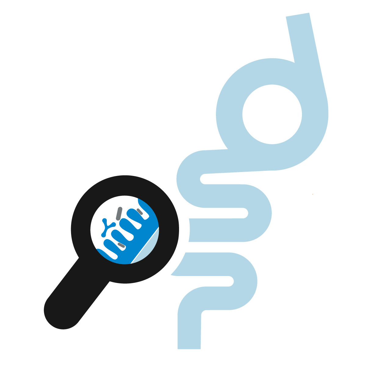 Piirros-suolistosta-ja-suolistobakteereista