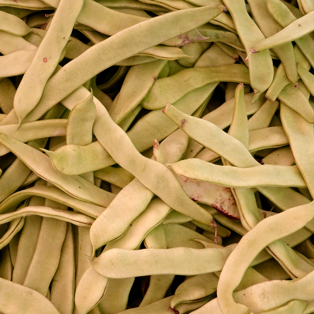 GutGuide®ProFecal - Image 2