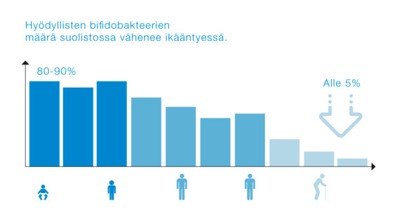 Graaffi: ikääntyessä-hyödyllisten-bifidobakteerien-määrä vähenee-suolistossa-alle-5%