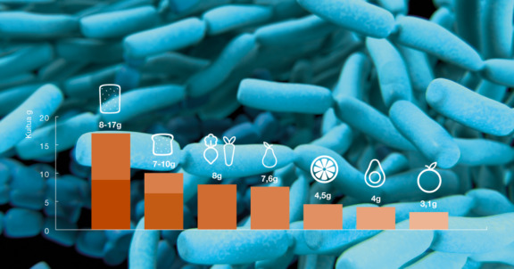 Kuvassa on pylväsdiagrammi joka kuvaa eri ruoka-aineiden kuitumääriä. Eniten kuitua on ruisleipäviipaleessa 8-17 grammaa.